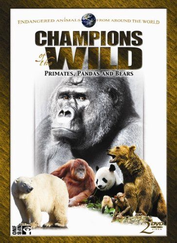 Champions of the Wild: Pandas & Bears [DVD]