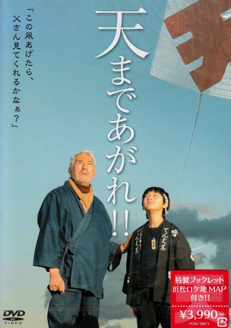 天まであがれ!! [DVD]