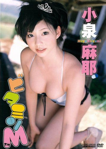 小泉麻耶DVD ビタミンM