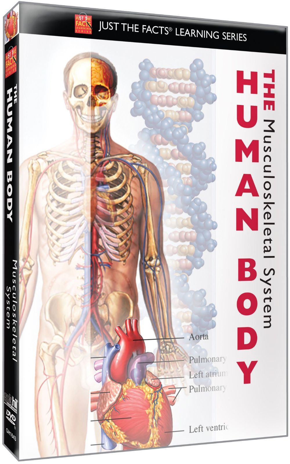Just the Facts: The Human Body - Musculoskeletal [DVD]