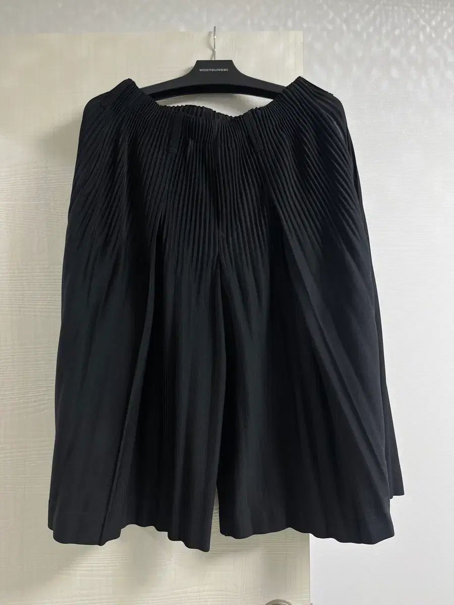 25ss オムプリッセ フラッフィー ワイドパンツ (バミューダ) 2サイズ (30)