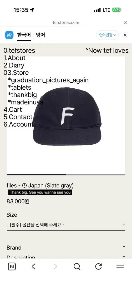 tefstores ベースボールキャップ sage gray L