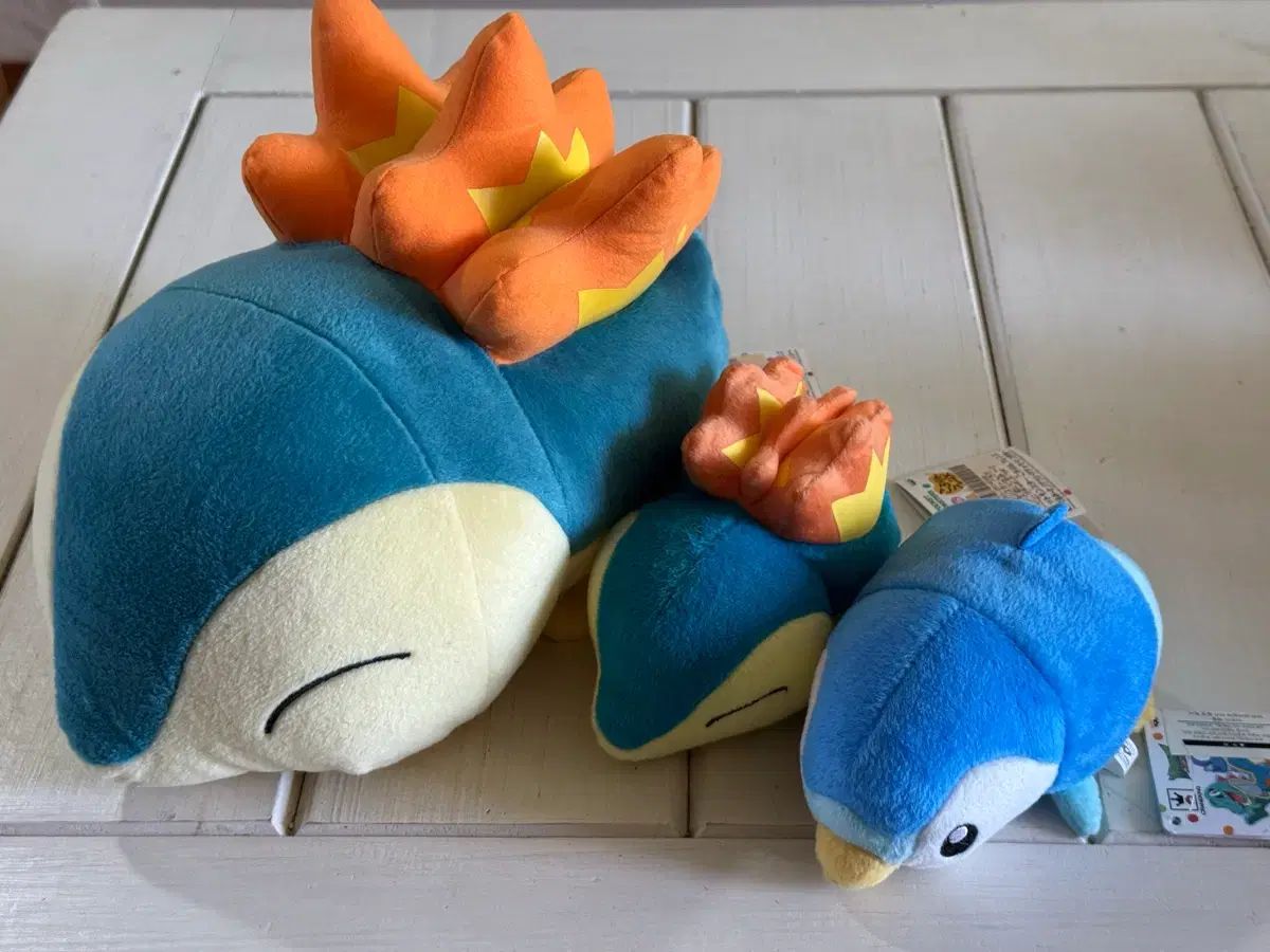 ポケットモンスター デグリング ぬいぐるみ (브케인 팽도리)
