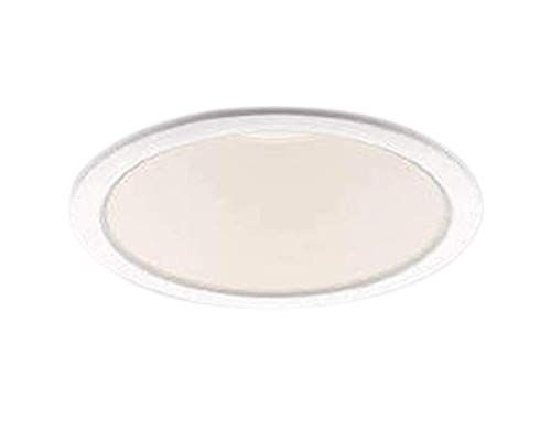 新品 コイズミ照明 ダウンライト AD49601L 本体: 奥行8.1cm 本体: 高さ32cm 本体: 幅11cm