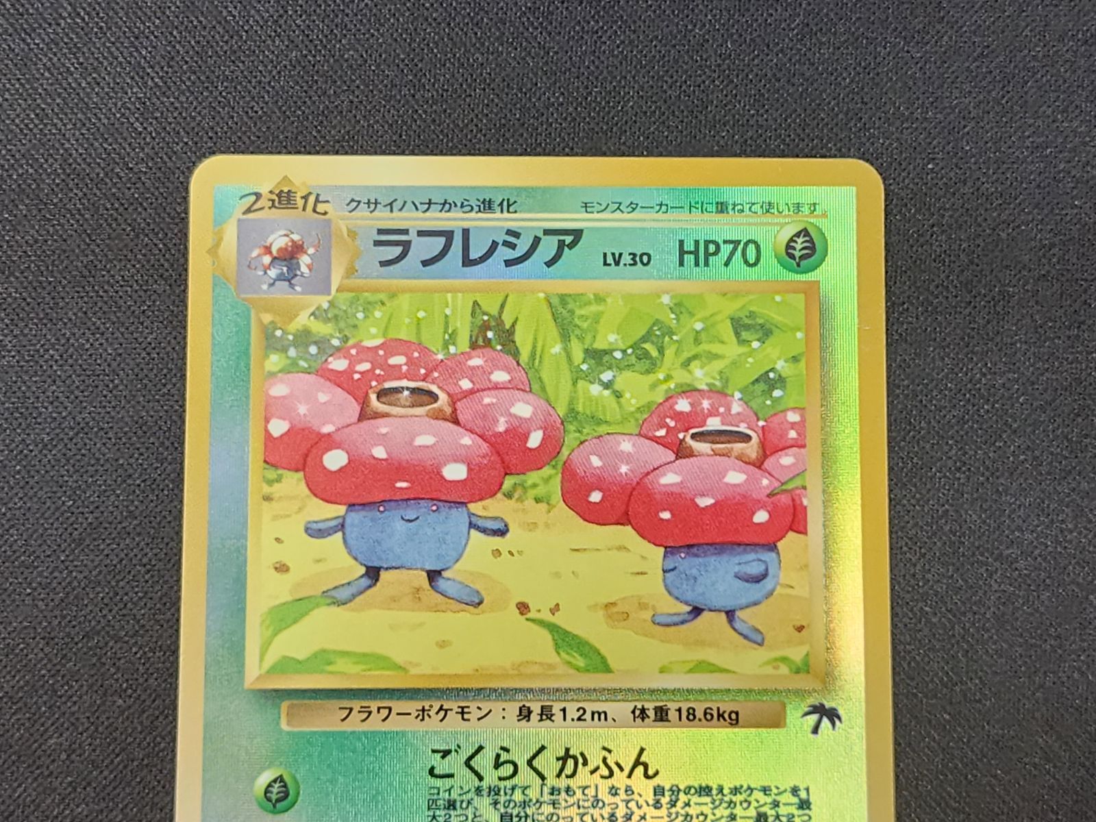 PC ポケモンカード 旧裏 ラフレシア キラ仕様 No.065 ※商品説明文確認