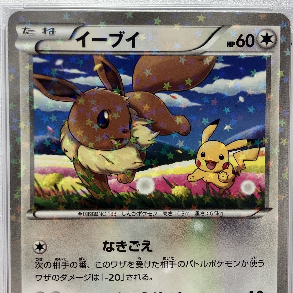 PSA10】 ポケモンカード イーブイ 235/BW-P セブンイレブン ポケモン