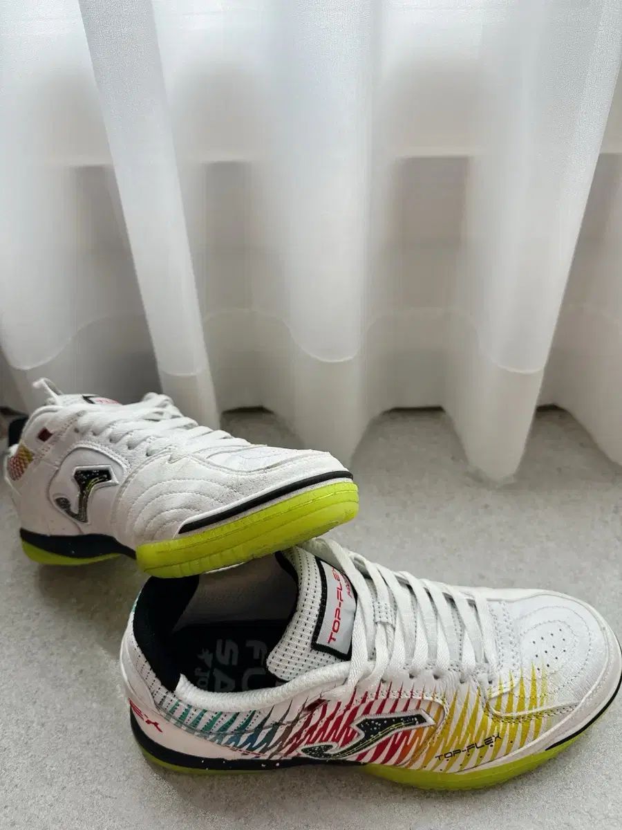 ホマトップフレックス265