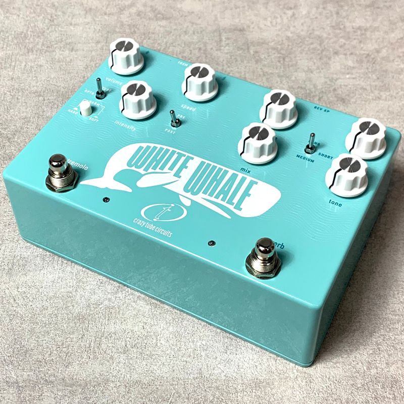 【加古川店】【楽器】 新品 Crazy Tube Circuits | クレイジーチューブサーキット エフェクター White Whale V2 リバーブ リバーブ ブルー 【472】