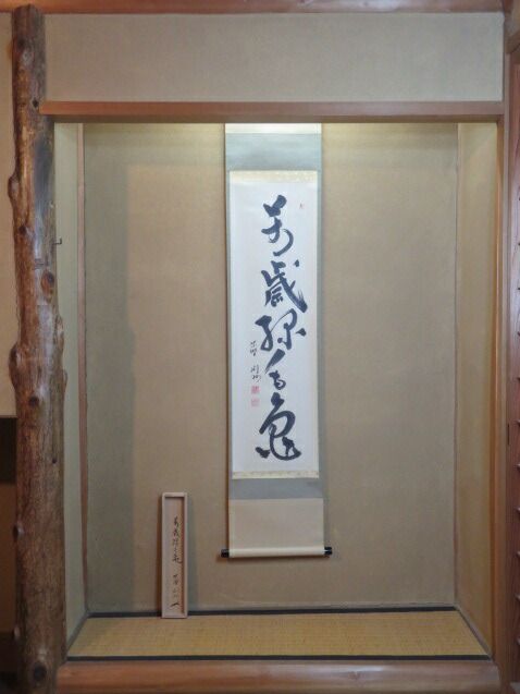 （睦月）紫野芳春院 秋吉則州筆「萬歳緑毛亀」一行軸 【税込・送料込】【中古・超美品】