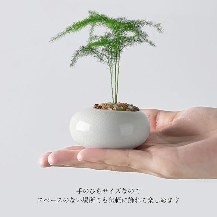 盆栽鉢、ミニ鉢、陶器製 植木鉢 排水穴付き TUISKU 植木鉢 ミニサイズ 2型セット 筒型 豆鉢 陶器 氷裂模様 貫入