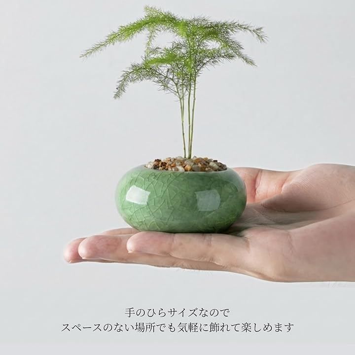 TUISKU 植木鉢 ミニサイズ 2型セット 筒型 豆鉢 陶器 氷裂模様 貫入