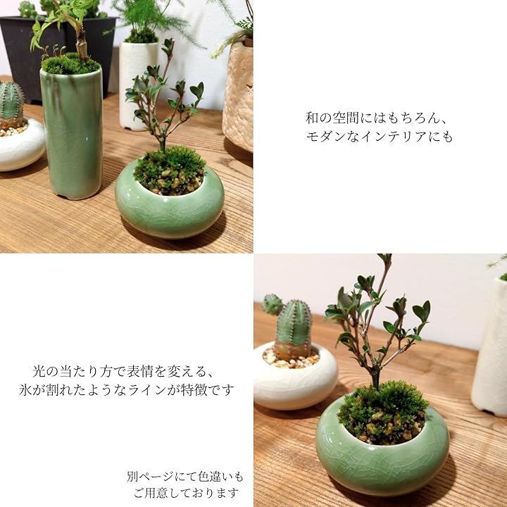 TUISKU 植木鉢 ミニサイズ 2型セット 筒型 豆鉢 陶器 氷裂模様 貫入