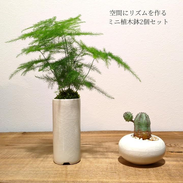 TUISKU 植木鉢 ミニサイズ 2型セット 筒型 豆鉢 陶器 氷裂模様 貫入