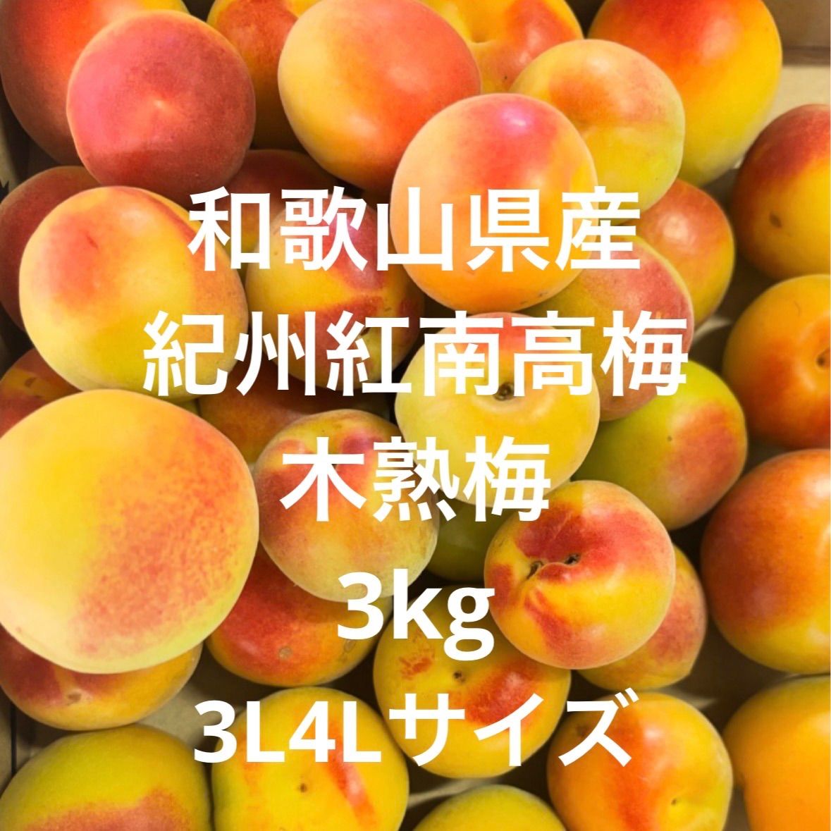 まなママ様専用ページ 紀州紅南高梅 木熟梅 3L4Lサイズ 3kg