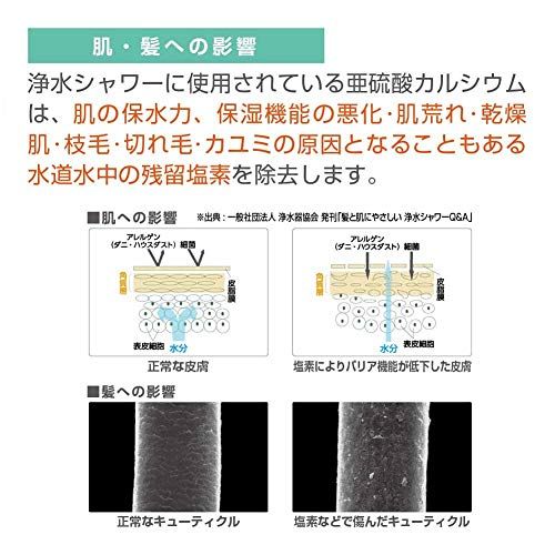SANEI(サンエイ) 浄水ファインバブルシャワーセット ウルトラファインバブル発生 塩素除去 超微細な気泡 日本製 PS7964-CT6A-MW2 白pms SANEI(サンエイ) 浄水ファインバブルシャワーセット ウルトラファインバブル発生 塩素除去 超微細な気泡 日本製 PS7964-CT6A-MW2 白pms
