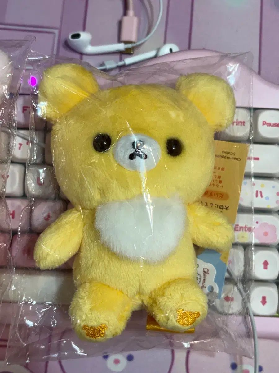 正規品 チーズ コグマ 未開封