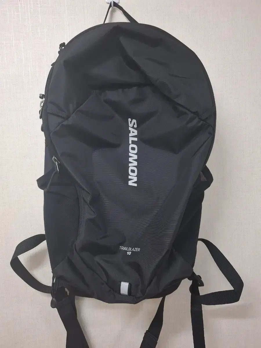 SALOMON サロモン トレイルブレーザー 10 バックパック (新品)
