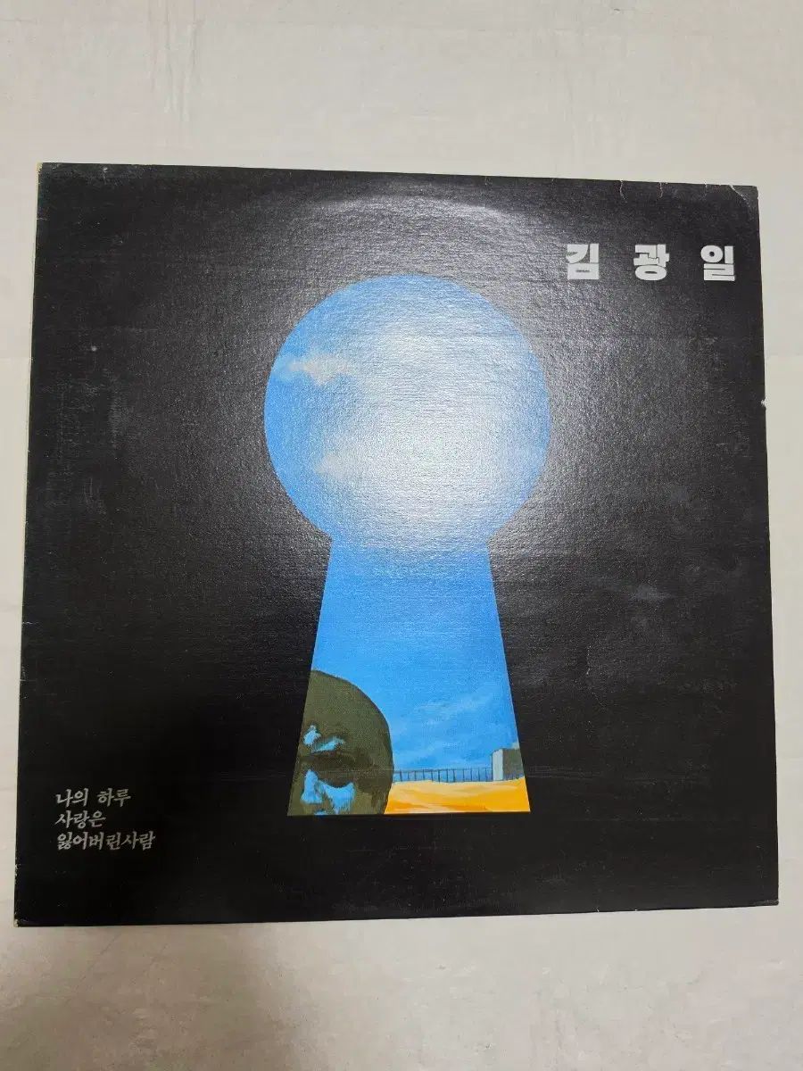 キム・クァンイル 未使用 LP 僕のヒーローアカデミア(ヒロアカ) Haru 失われた 人
