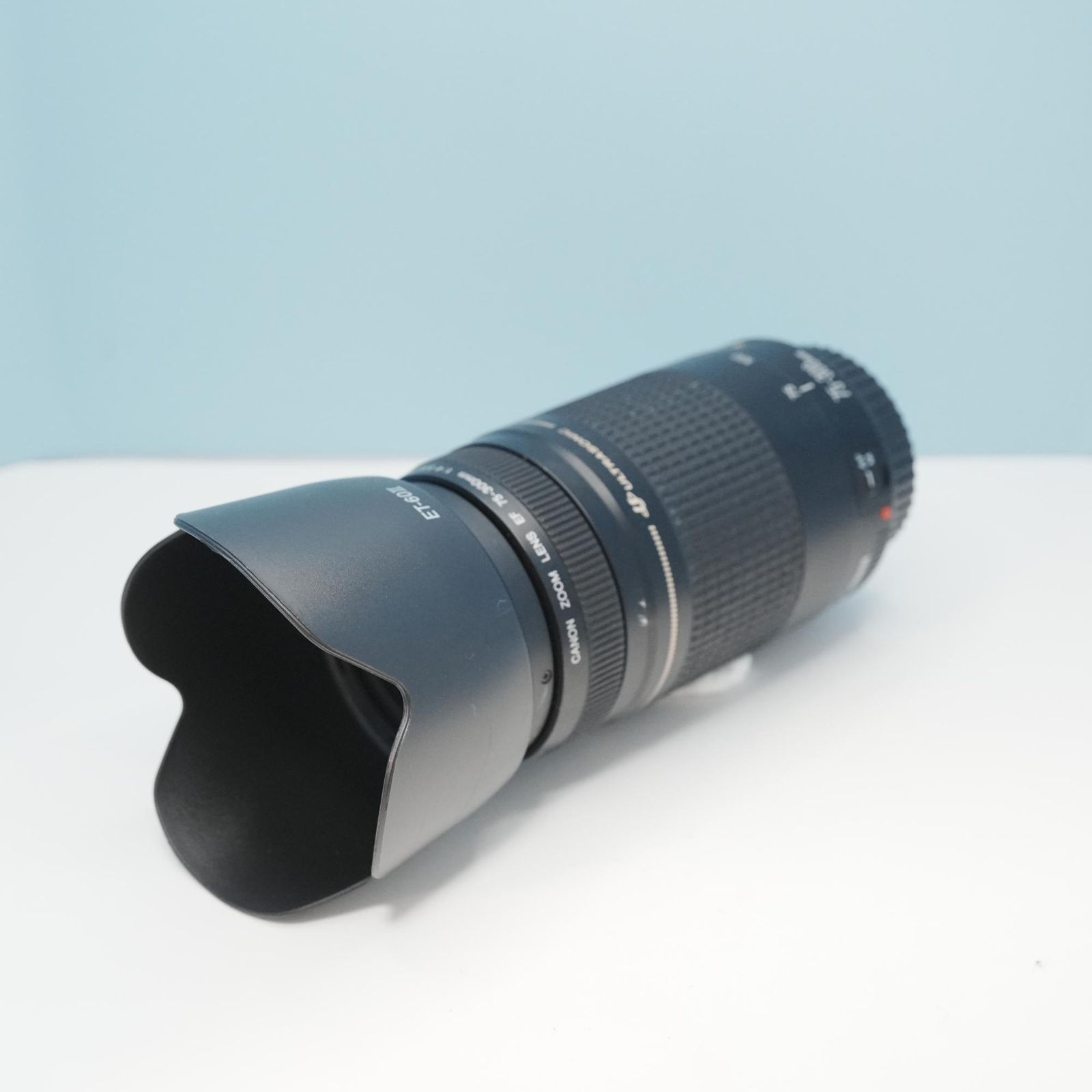 Canon純正 75-300mm EFマウント用 望遠レンズ a6701 【公式通販】