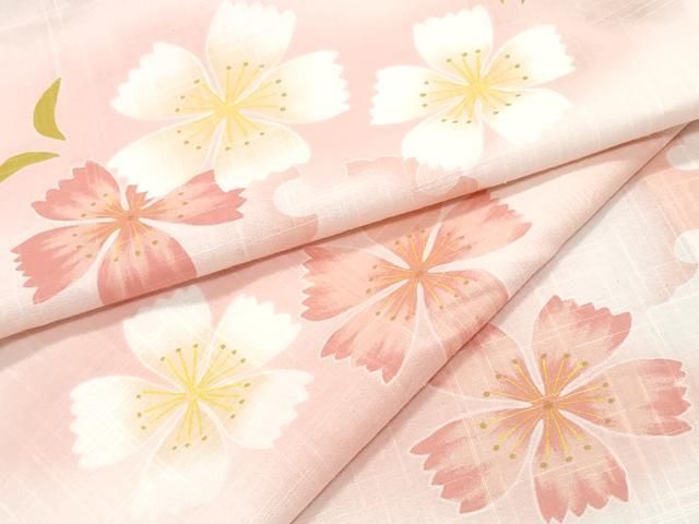 平和屋着物∴夏物　ファッションデザイナー 花井幸子　YUKIKO HANAI 　浴衣　撫子　綿　逸品　CABH1230ng