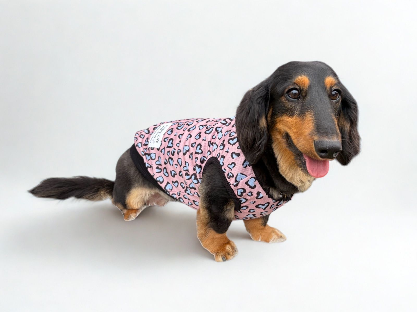 クールクロスタンク【レオパード】 ハンドメイド犬服 犬の洋服 クール