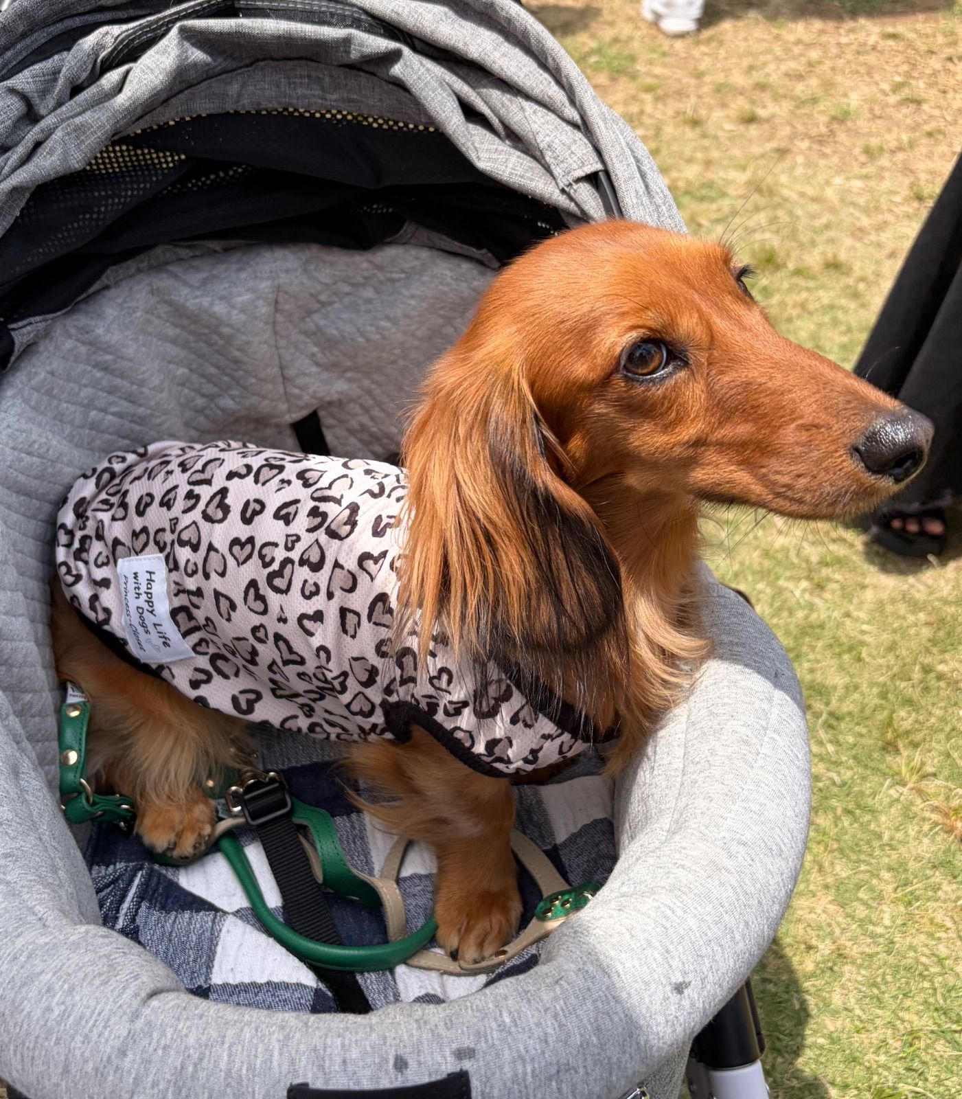 クールクロスタンク【レオパード】 ハンドメイド犬服 犬の洋服 クール