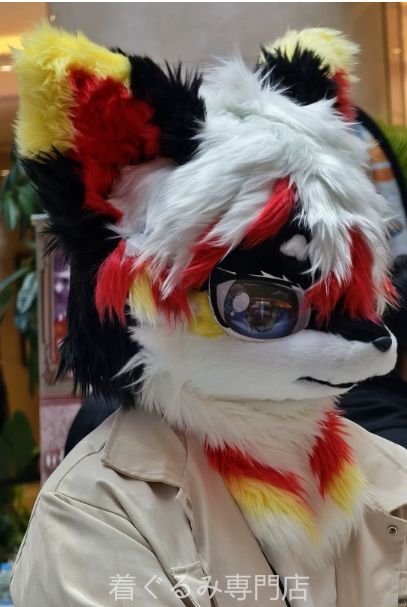 犬　猫　着ぐるみ ヘッド全頭　ヘッド ケモノ ファースーツ ぬいぐるみ コスプレ コスチューム Kurumi 一点物 C458