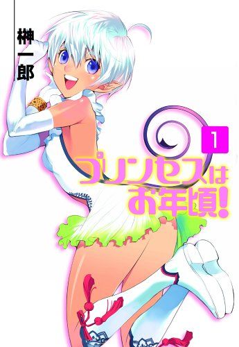 プリンセスはお年頃!(1) (HJ文庫)／榊 一郎 - メルカリ