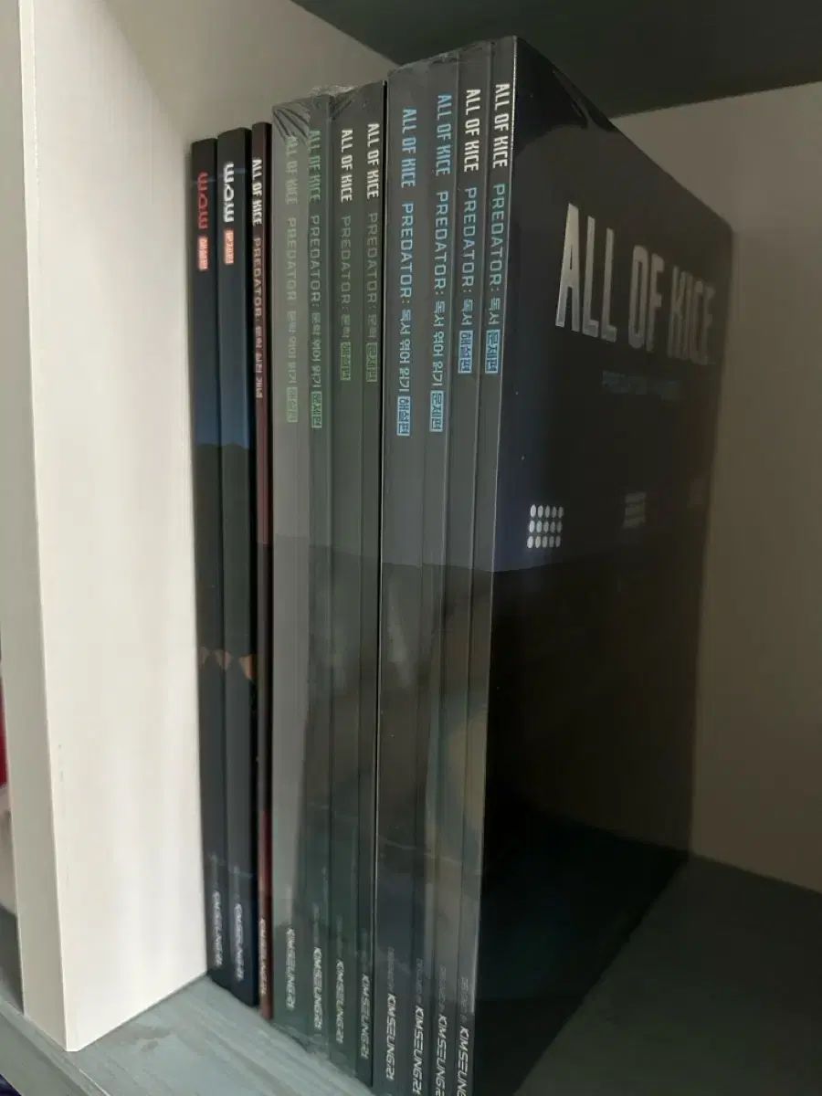 2027 オールオカ 新品の本 An Ode 文学 wow All Of KICE キム・スンリ