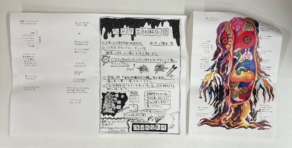 痛快娯楽劇場 ヘドラ 立体解剖図 ガレージキット ガレキ 未塗装未組立 痛快娯楽劇場 レジンキット ヘドラ立体解剖図 - メルカリ