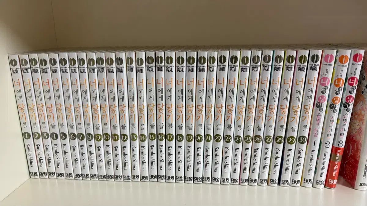 あなたに 君に届け 漫画 全巻 外伝