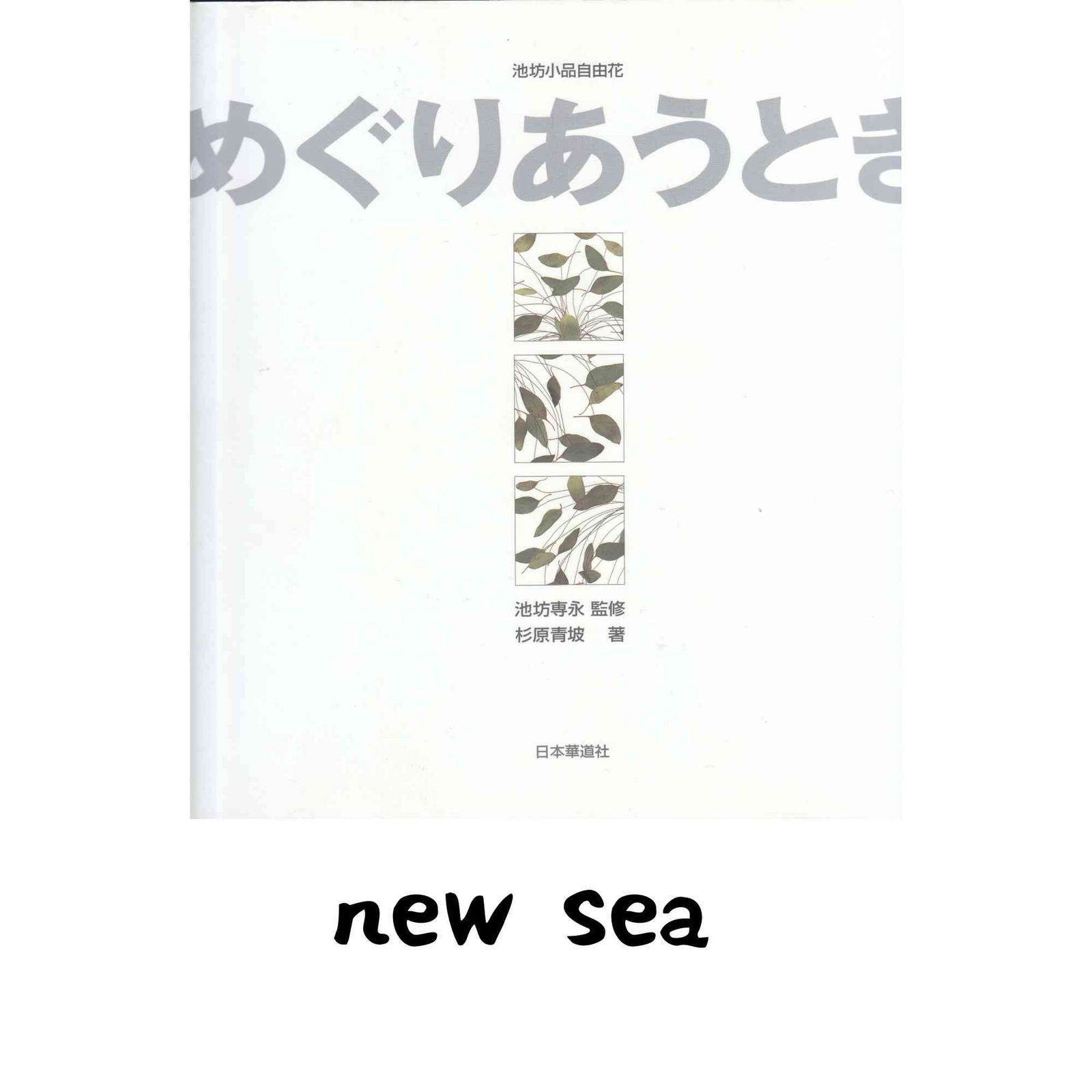 めぐりあうとき: 池坊小品自由花 池坊専永; 杉原青坡(1935-)