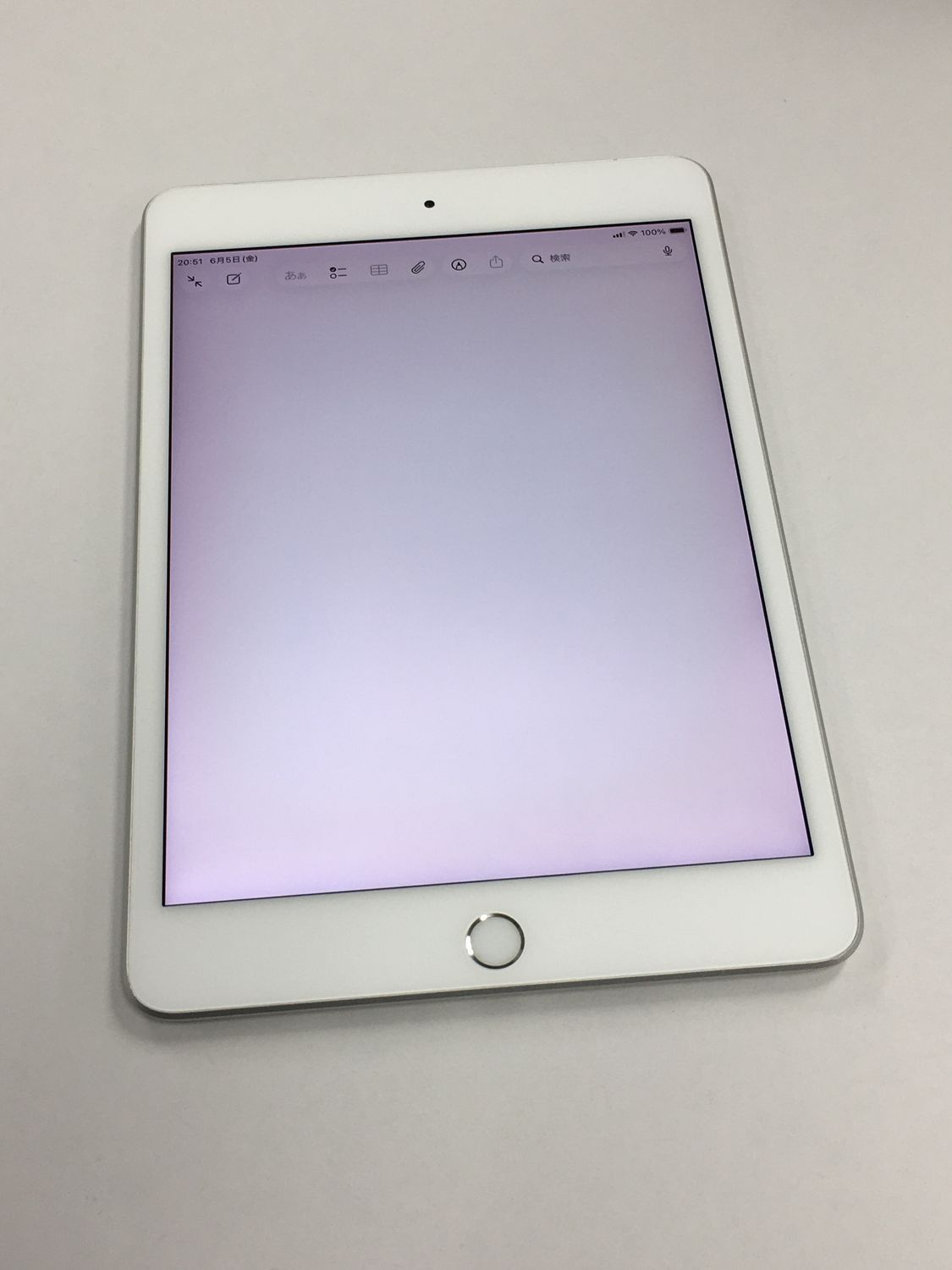 極美品 Apple iPad mini 5 64GB シルバー【動作確認・初期化済