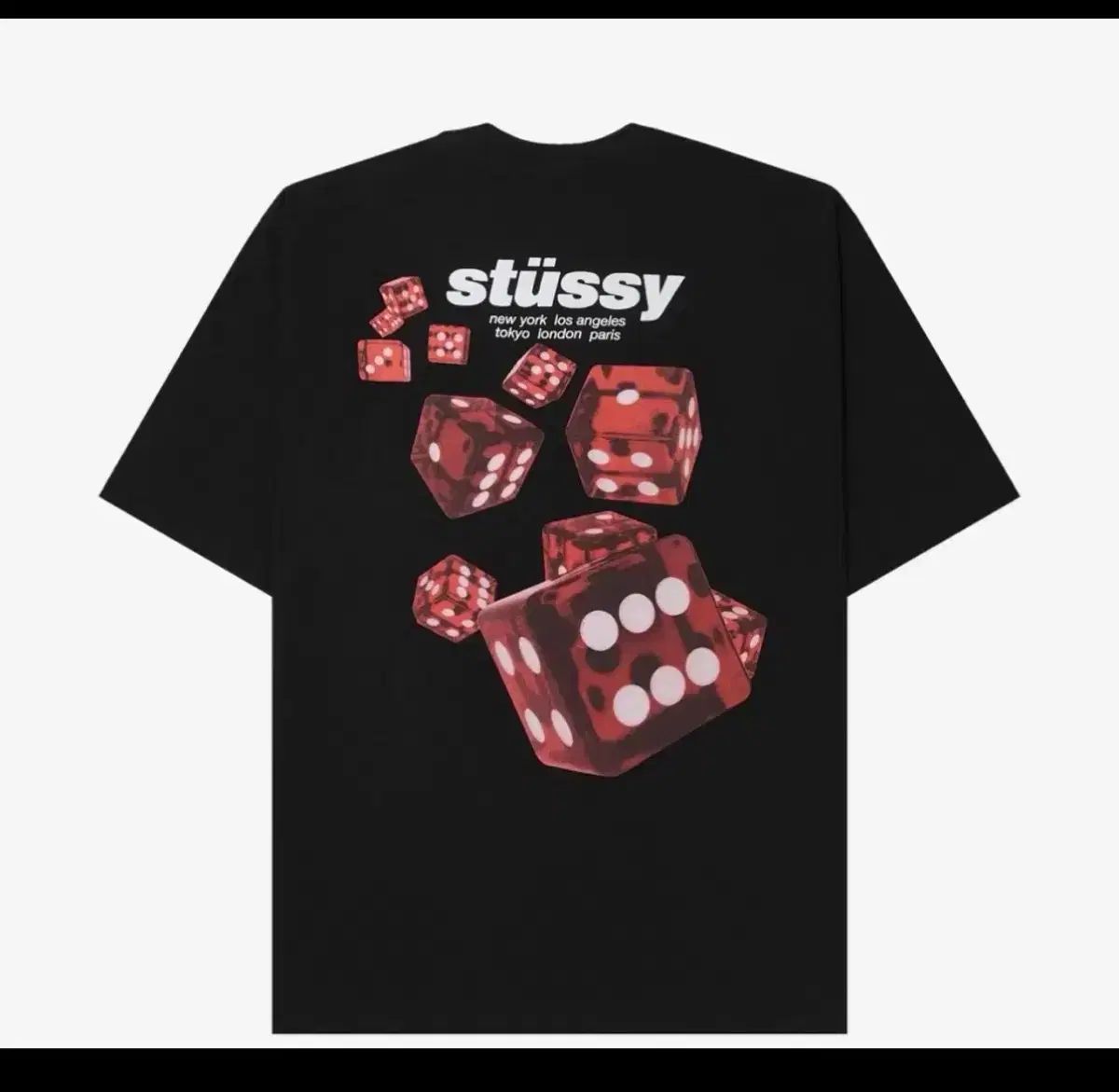 STUSSY ロール Tシャツ L