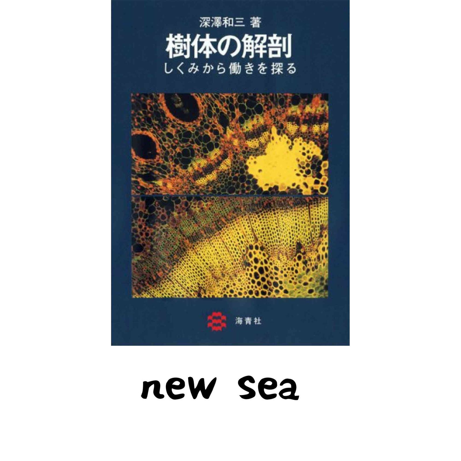 樹体の解剖 しくみから働きを探る 深澤和三