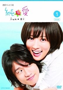 【中古】 連続テレビ小説 純と愛 完全版(13巻セット) [レンタル落ち] [DVD]