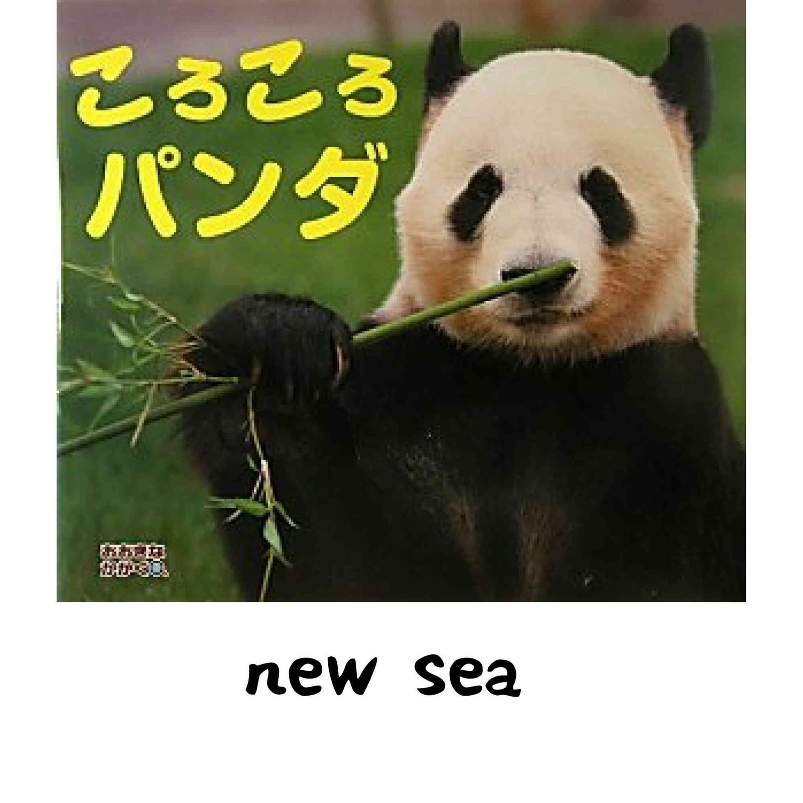 ころころパンダ (おおきなかがく) [大型本]