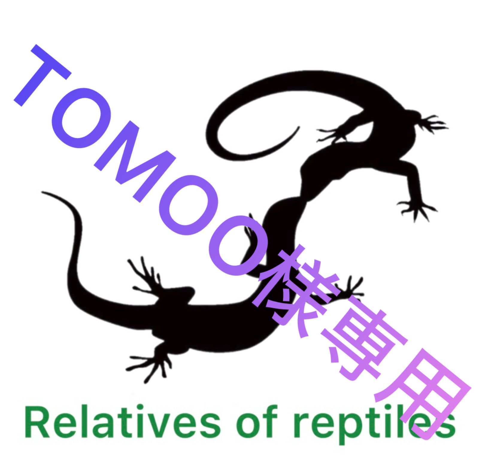 冷凍ラット