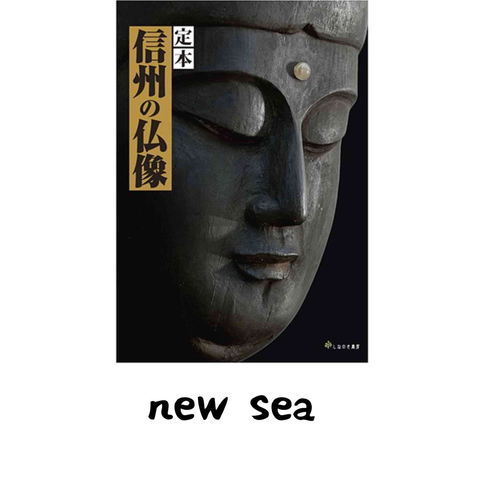 定本 信州の仏像 [大型本] 伊藤羊子 小倉絵里子 織田顕行 佐々木守俊 道家由紀子; 武笠 朗