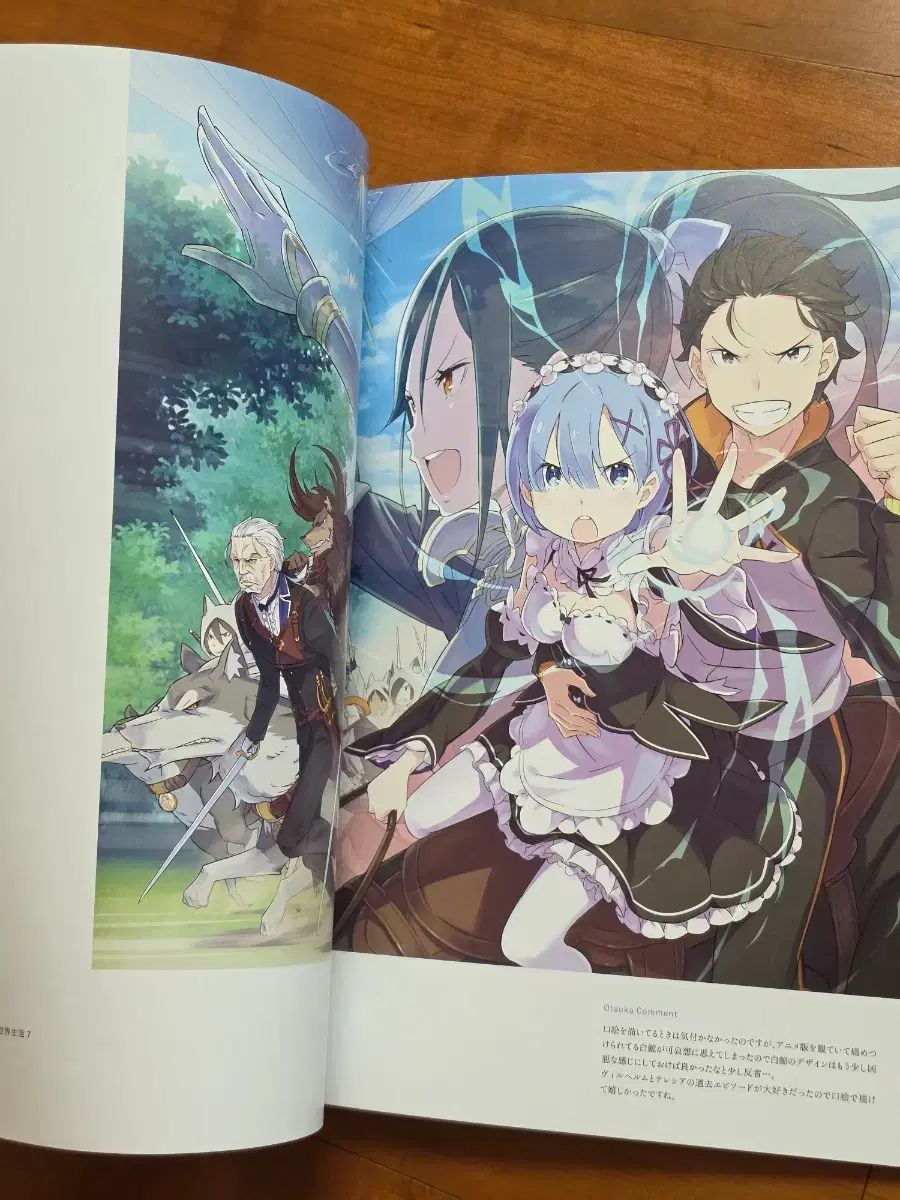 リーゼロ アートブック (イラスト+小説) 日本版 リーゼロ アートブック (イラスト+小説) 日本版