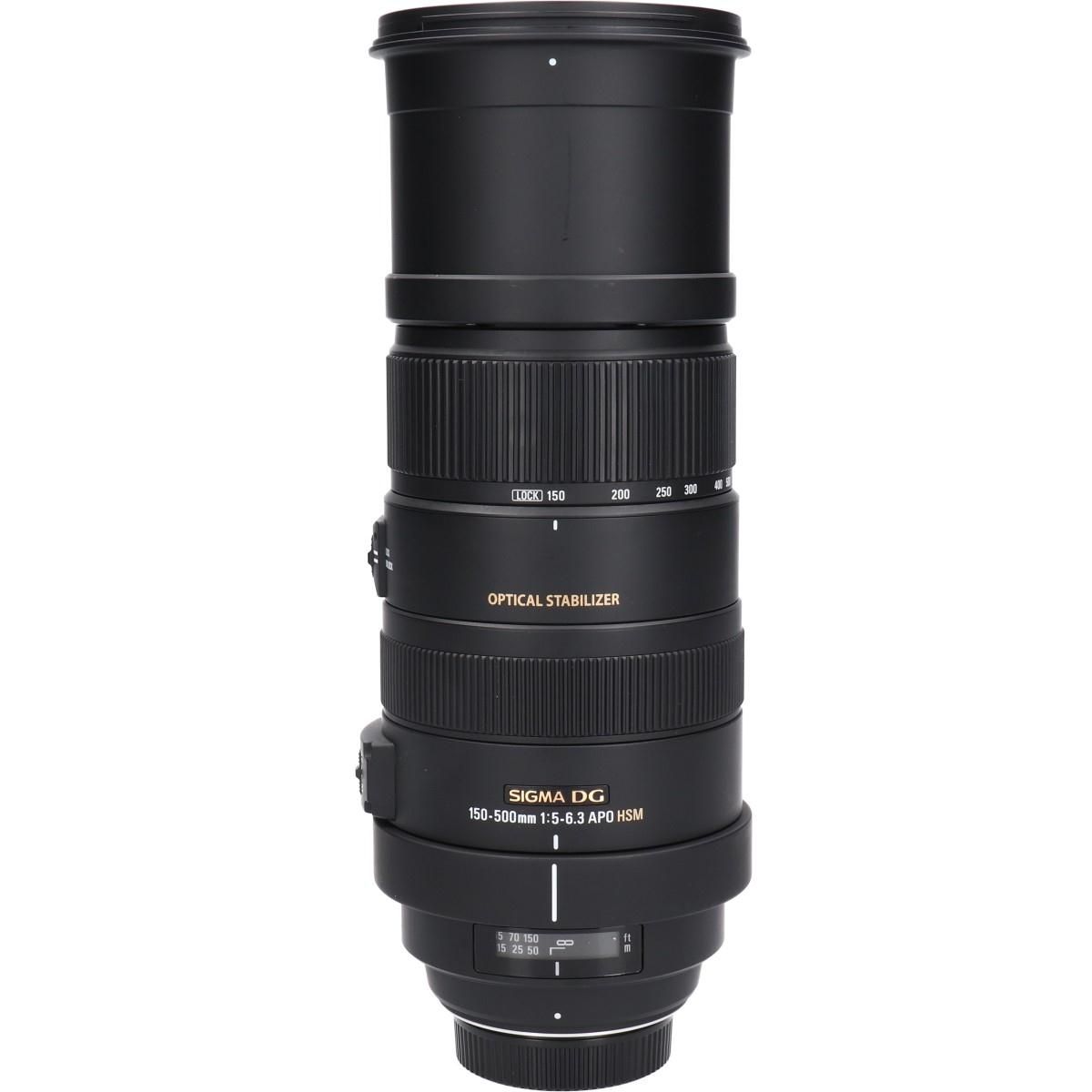 ニコン１５０－５００ｍｍ　Ｆ５－６．３ＤＧ　ＯＳ　ＨＳＭ