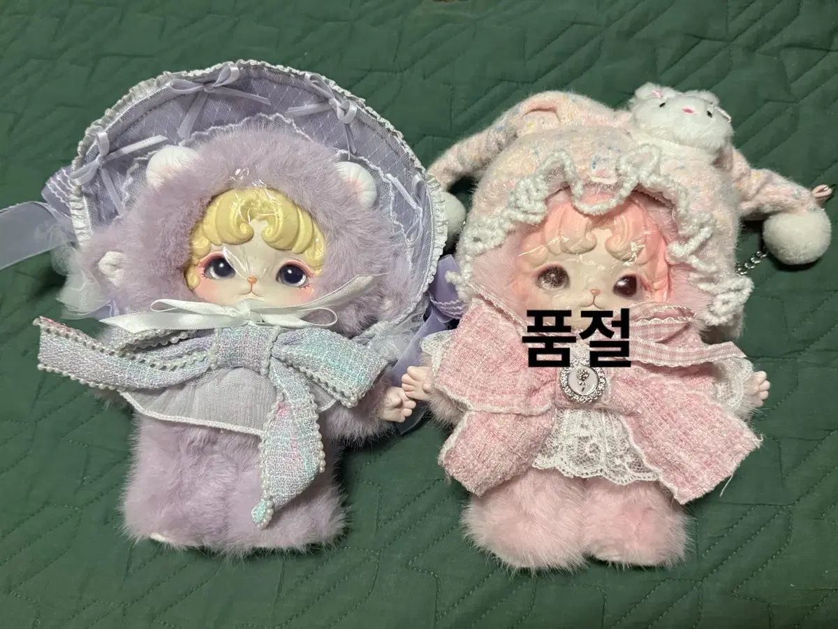 ミジュアン ドリーム（紫 ジュンシック）出品