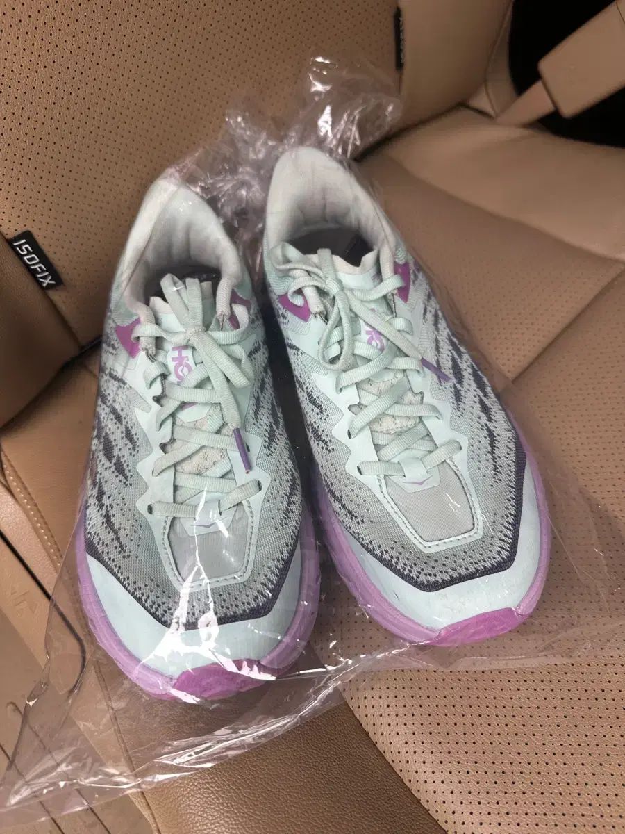 HOKA ONE ONE ホカオネオネ スピードgoat 5 ミント パープル (250)