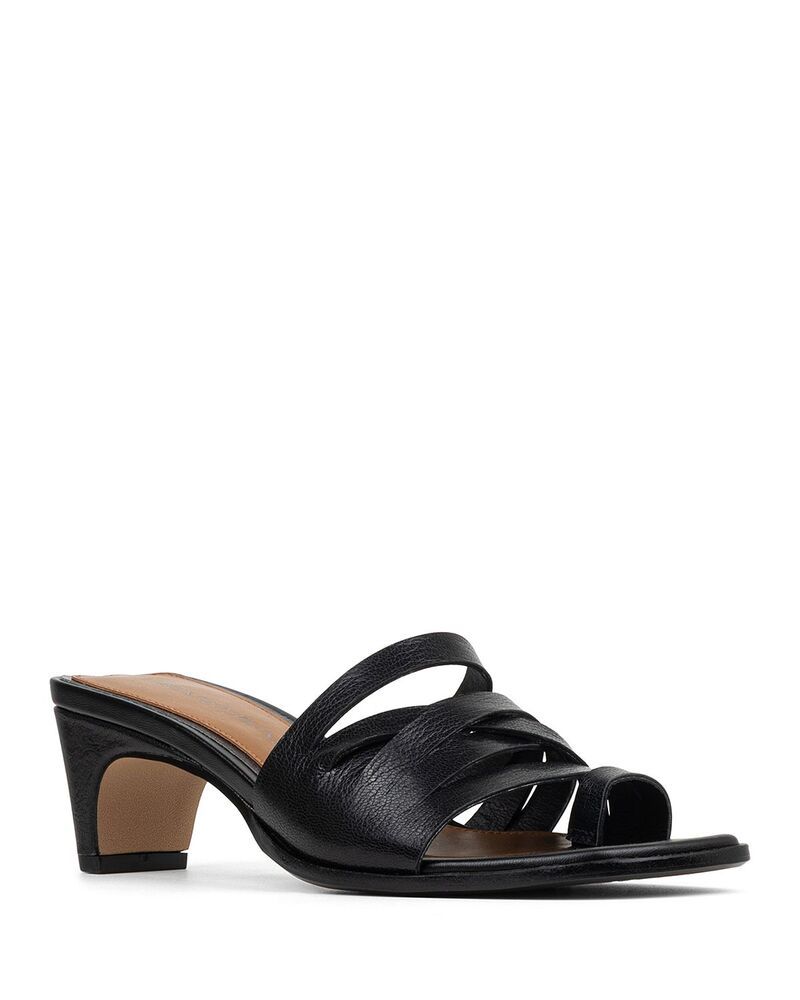 ドナルドプリネール レディース シューズ サンダル ヒール Donald Pliner Womens Dayvi Mid Heel Mule Sandals Black ブラック