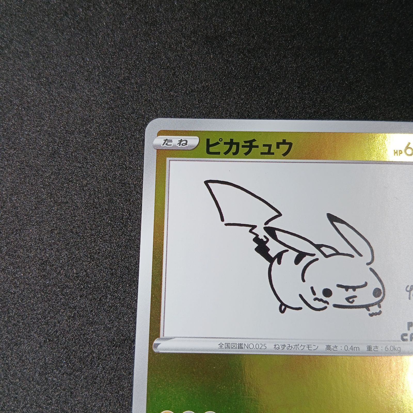 ピカチュウ：YU NAGABA×ポケモンカードゲーム PROMO S-Pプロモ… ピカチュウ:プロモ [S-P 208](「YU NAGABA×ポケモンカードゲーム