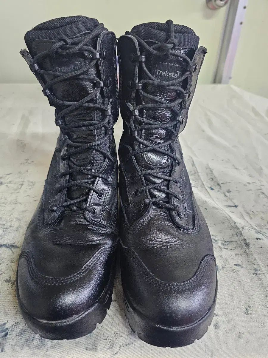 トレクスタ GORE-TEX 専門家用 登山靴 280 ウォーカーブーツ ブラック