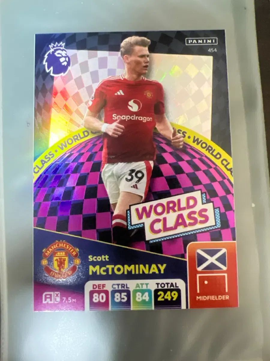 パニーニ スコット マクトミーニ WORLD CLASS サッカー カード
