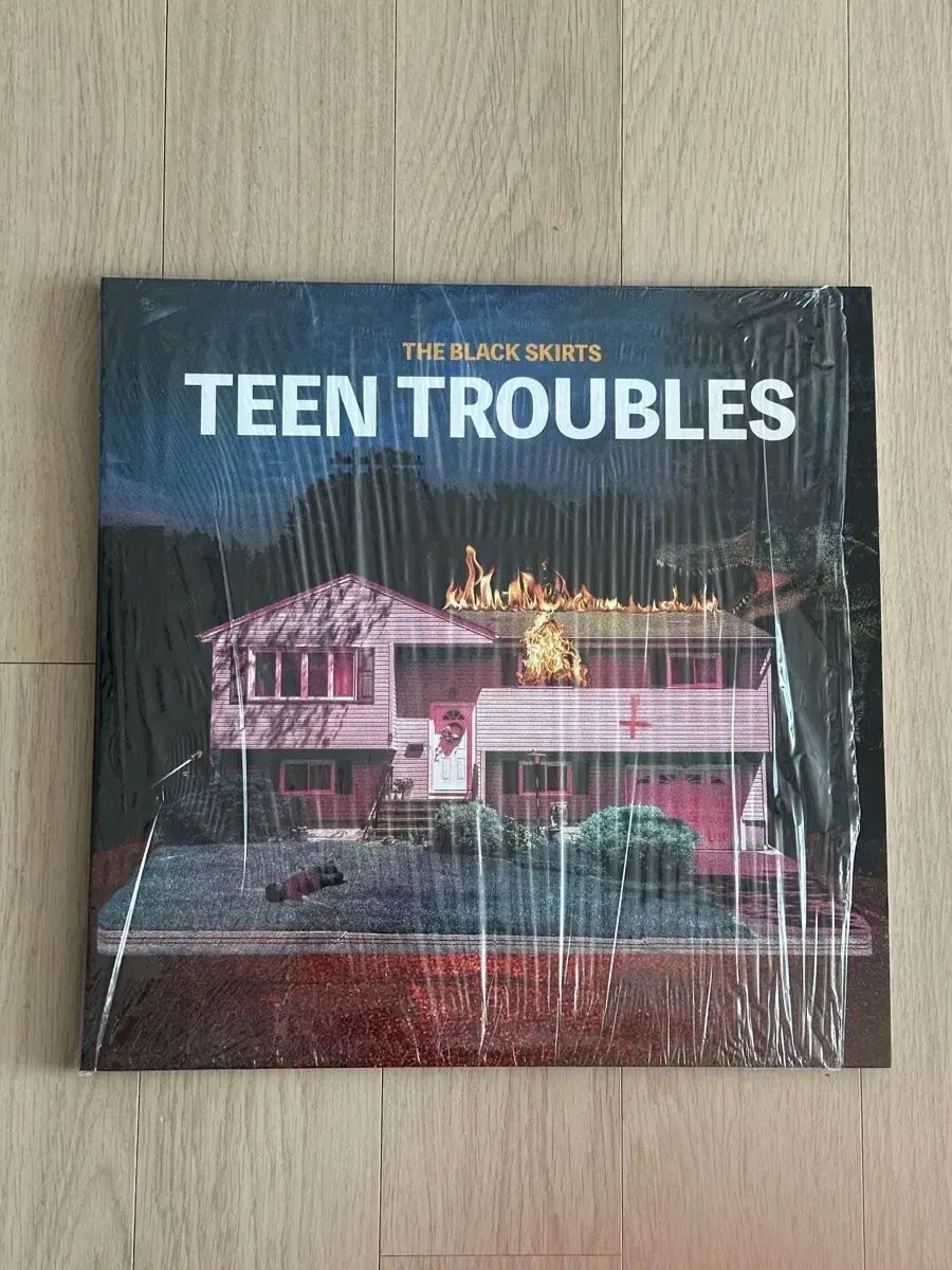 The Black Skirts(コムジョンチマ) TEEN TROUBLES LP