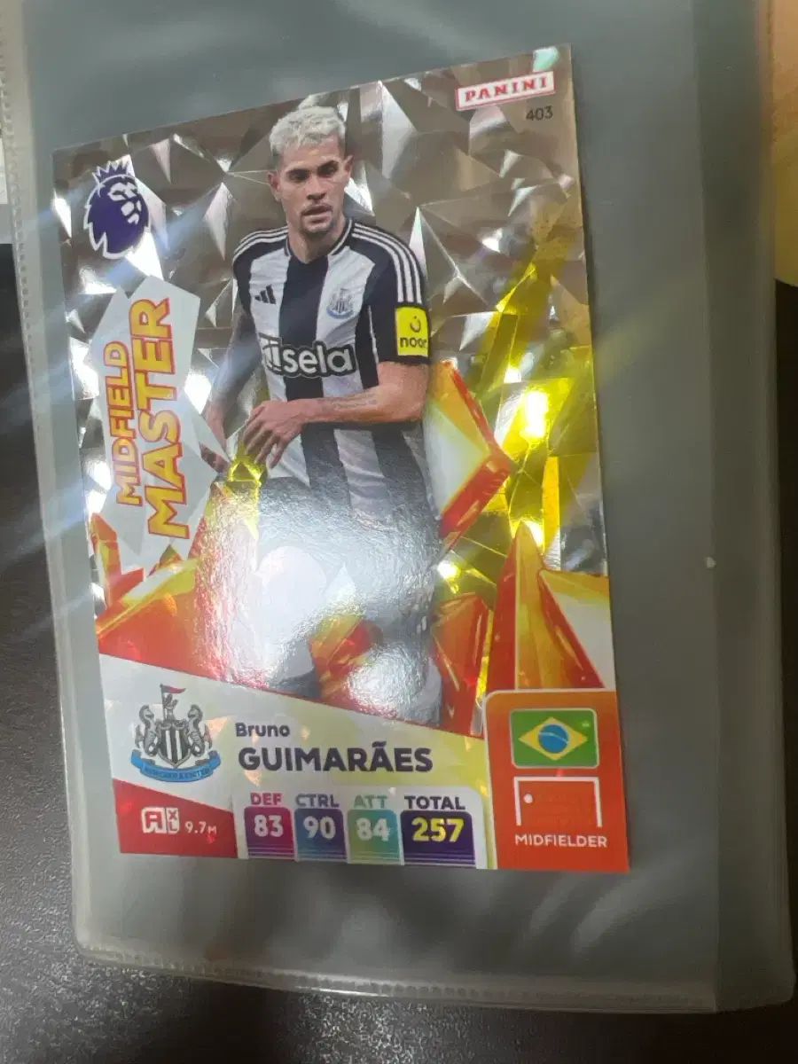 パニーニ ブルーノ・ギマラインイス ミッドフィルダー マスター サッカー カード