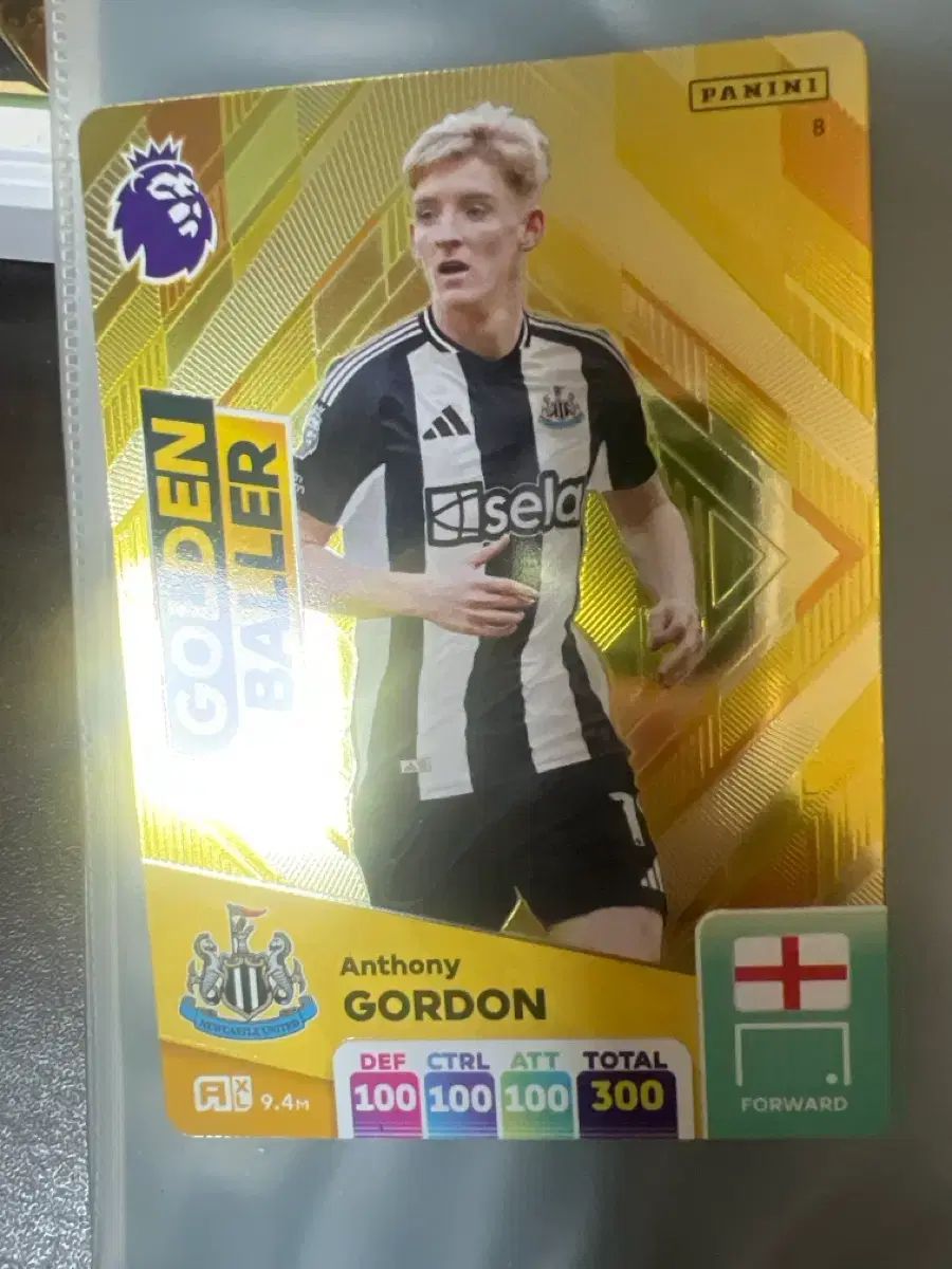 Panini ゴールデン ボールー アンドー アンソニー ゴー サッカー カード